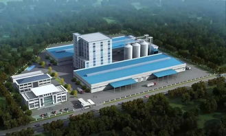 南山金甸生物科技產(chǎn)品畫冊