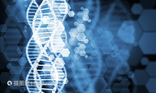 DNA分子高科技DNA分子的生物化學(xué)背景