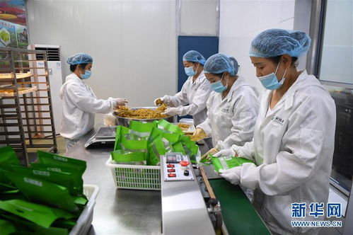 菖蒲塘村的 甜蜜 事業