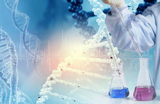 蘇州瑞安生物科技致力于我國生物醫藥