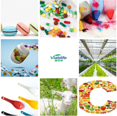 中美綠色基金追投杭州唯鉑萊,助力合成生物學產業化落地