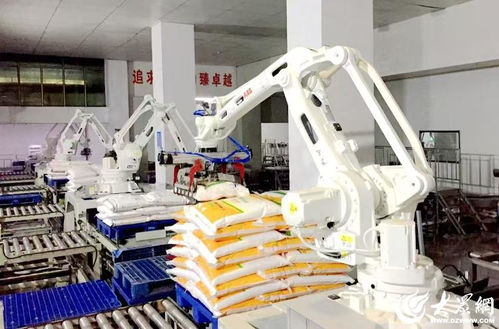 科技賦能，農頭工尾 濰坊安丘新安街道鍛造健康食品產業黃金鏈條